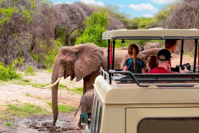 Perché i Viaggiatori Solitari Amano la Tanzania: Guida all’Avventura Safari Perfetta