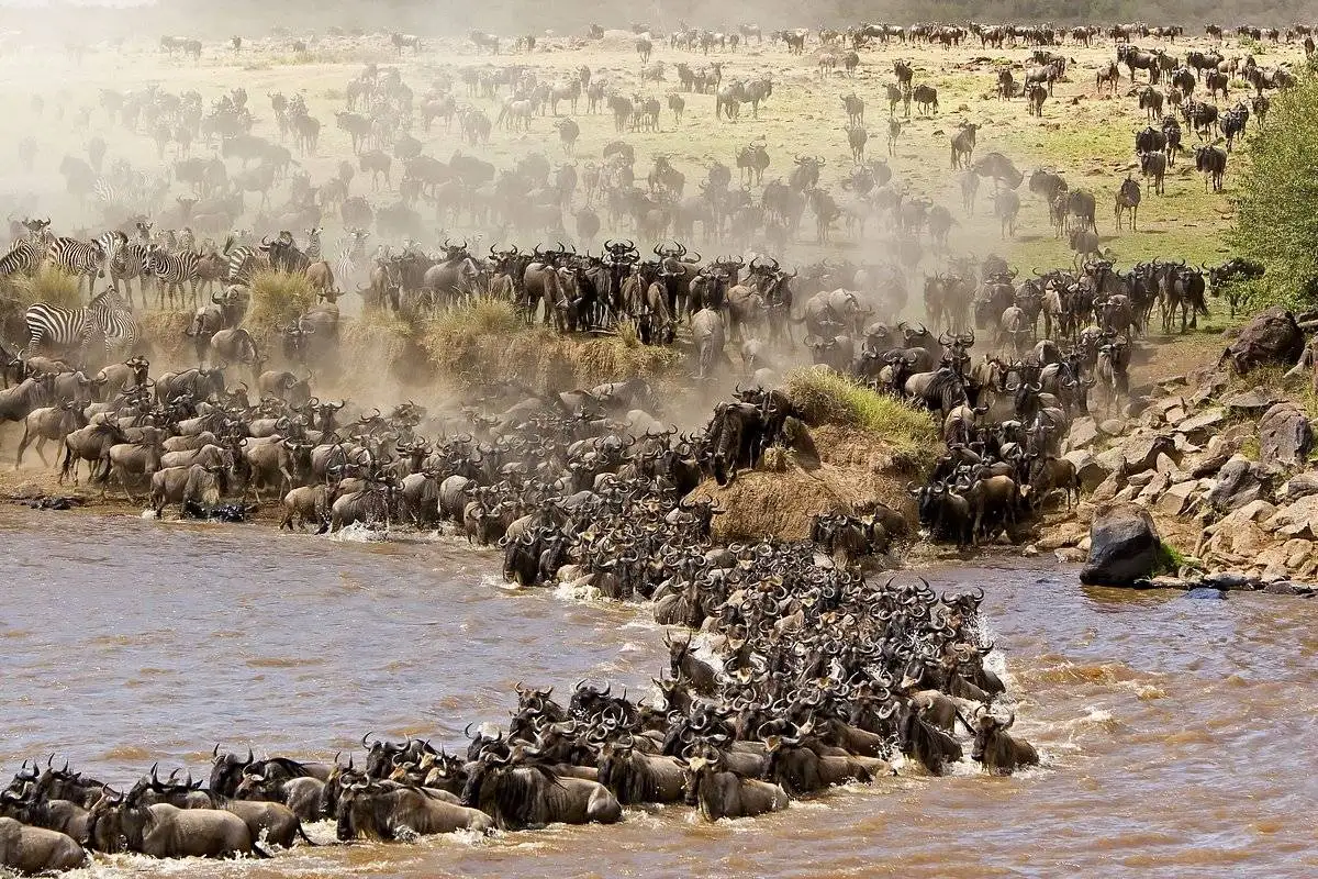 9-Day Tanzania Safari Adventure: Migration in Serengeti & Ngorongoro Crater Safari