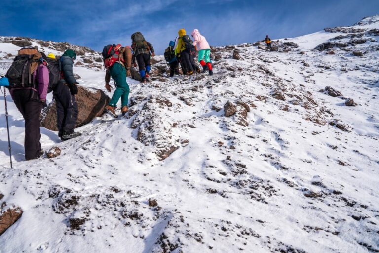 7-Day Lemosho Route: Scenic, Quiet & Summit-Friendly