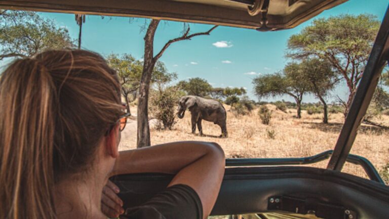 7 Days Big Five Safaris in Tanzania