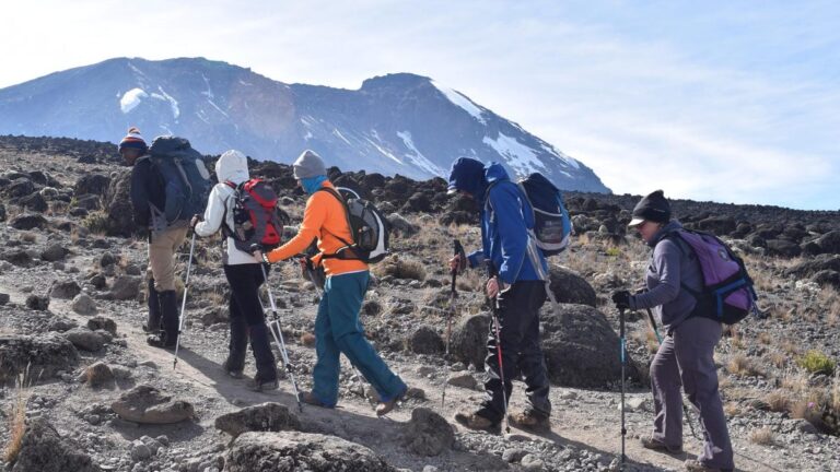 8-Day Lemosho Route: Optimal Acclimatization & Beauty