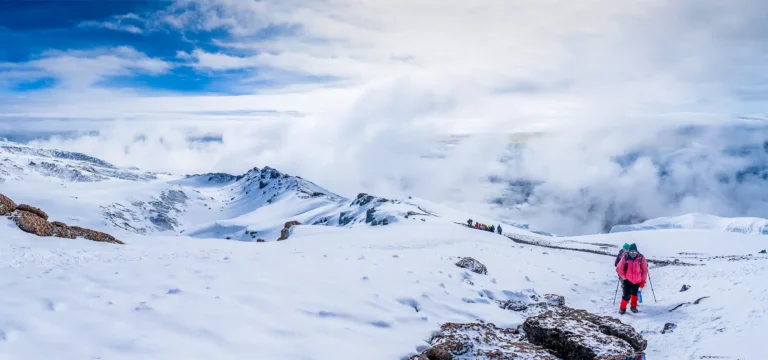Arrampicata + Safari: Come Trasformare la Tua Scalata in un’Avventura con la Fauna Selvatica