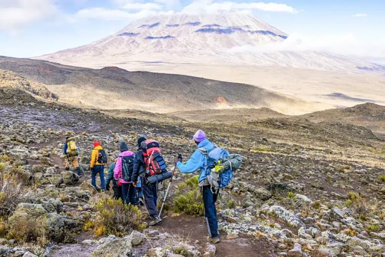 Confronto dei Percorsi: Machame vs Lemosho vs Marangu — Quale Sentiero del Kilimanjaro Fa per Te